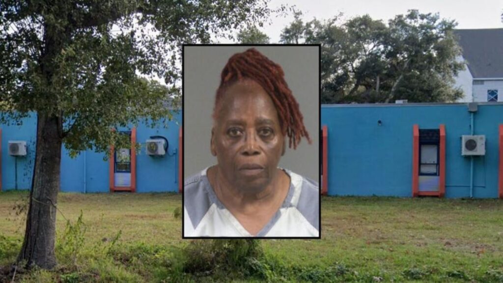 Woman Charged After ‘Slamming’ Baby Into Crib at Local Day Care – POLICE ALERT – The Published Reporter
