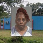 Woman Charged After ‘Slamming’ Baby Into Crib at Local Day Care – POLICE ALERT – The Published Reporter